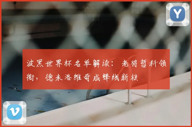 波黑世界杯名单解读:老将哲科领衔,德米洛维奇成锋线新核